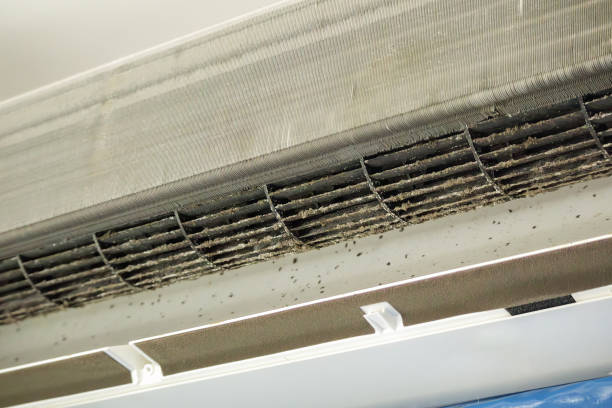 Best Air Duct Cleaning Near Me  in Richland, WA